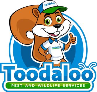 Toodaloo Pest & Wildlife